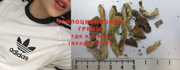 крисы Алексин