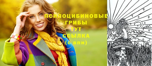 эйфоретик Алексеевка