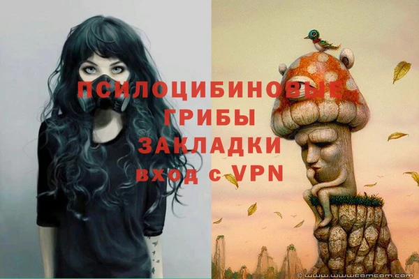 ECSTASY Алзамай