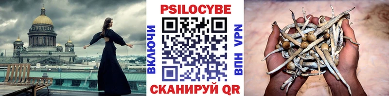 продажа наркотиков Любань OMG зеркало Псилоцибиновые грибы MAGIC MUSHROOMS